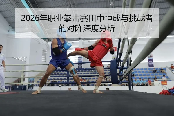 2026年职业拳击赛田中恒成与挑战者的对阵深度分析