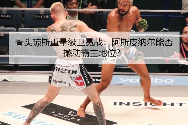 gu-tou-qiong-si-zhong-liang-ji-wei-mian-zhan-a-si-pi-na-er-neng-fou-han-dong-ba-zhu-di-wei-2-300.jpg